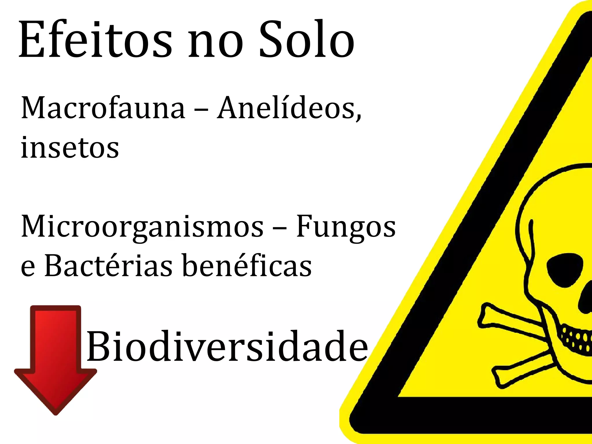 Efeitos no Solo
Macrofauna – Anelídeos,
insetos
Microorganismos – FungosMicroorganismos – Fungos
e Bactérias benéficas
Biodiversidade