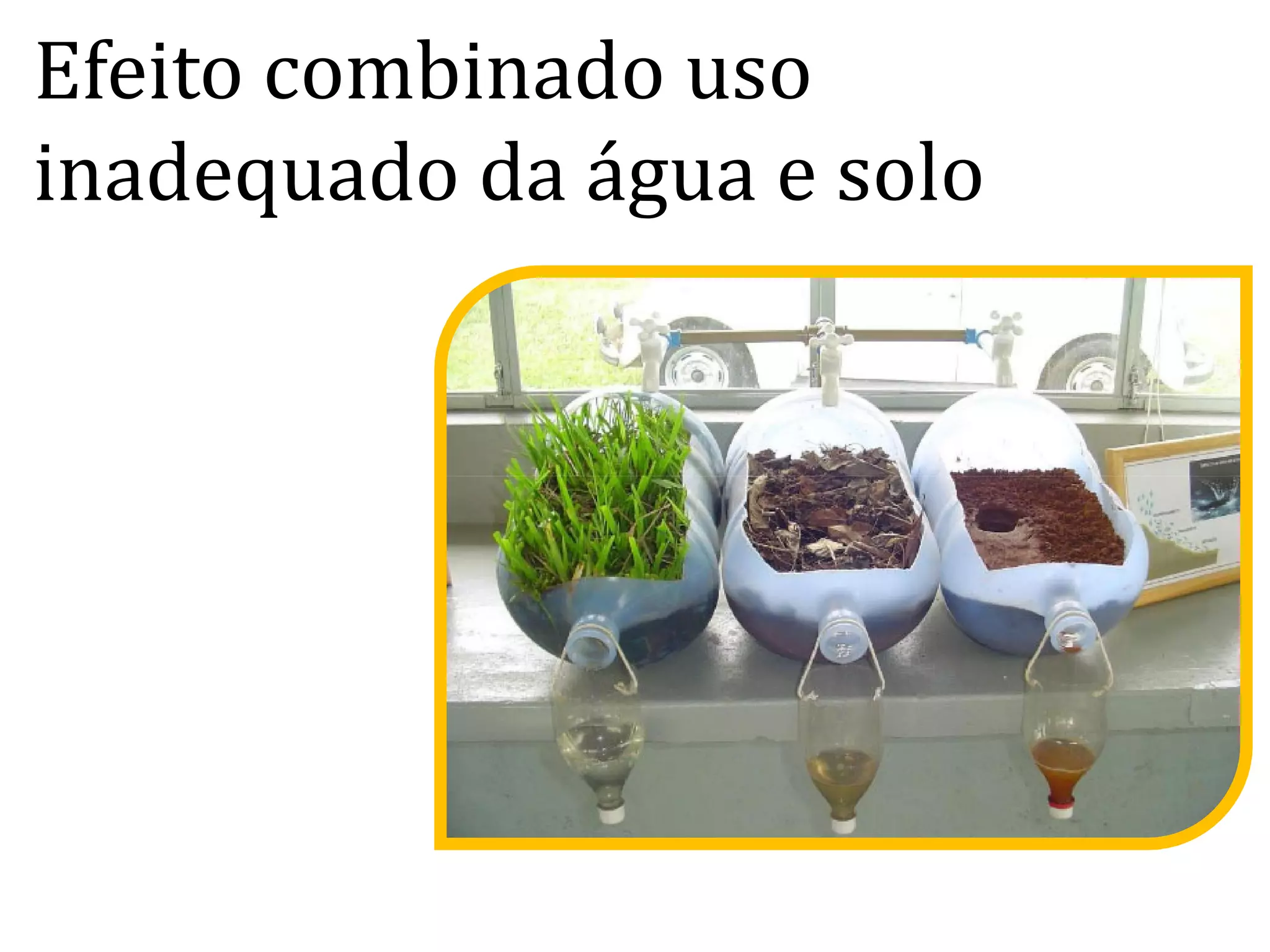 Efeito combinado uso
inadequado da água e solo