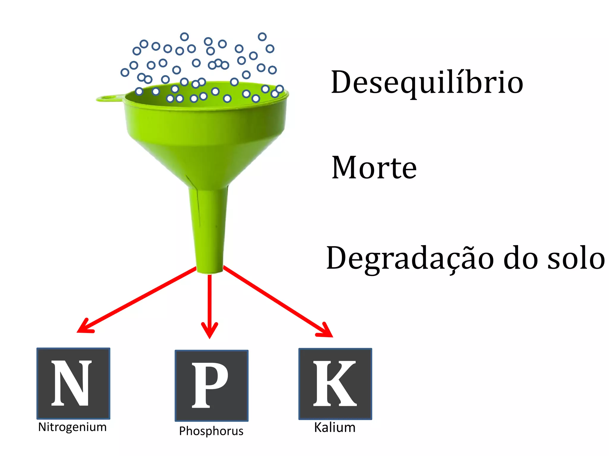 Desequilíbrio
Morte
N P KPhosphorus KaliumNitrogenium
Degradação do solo