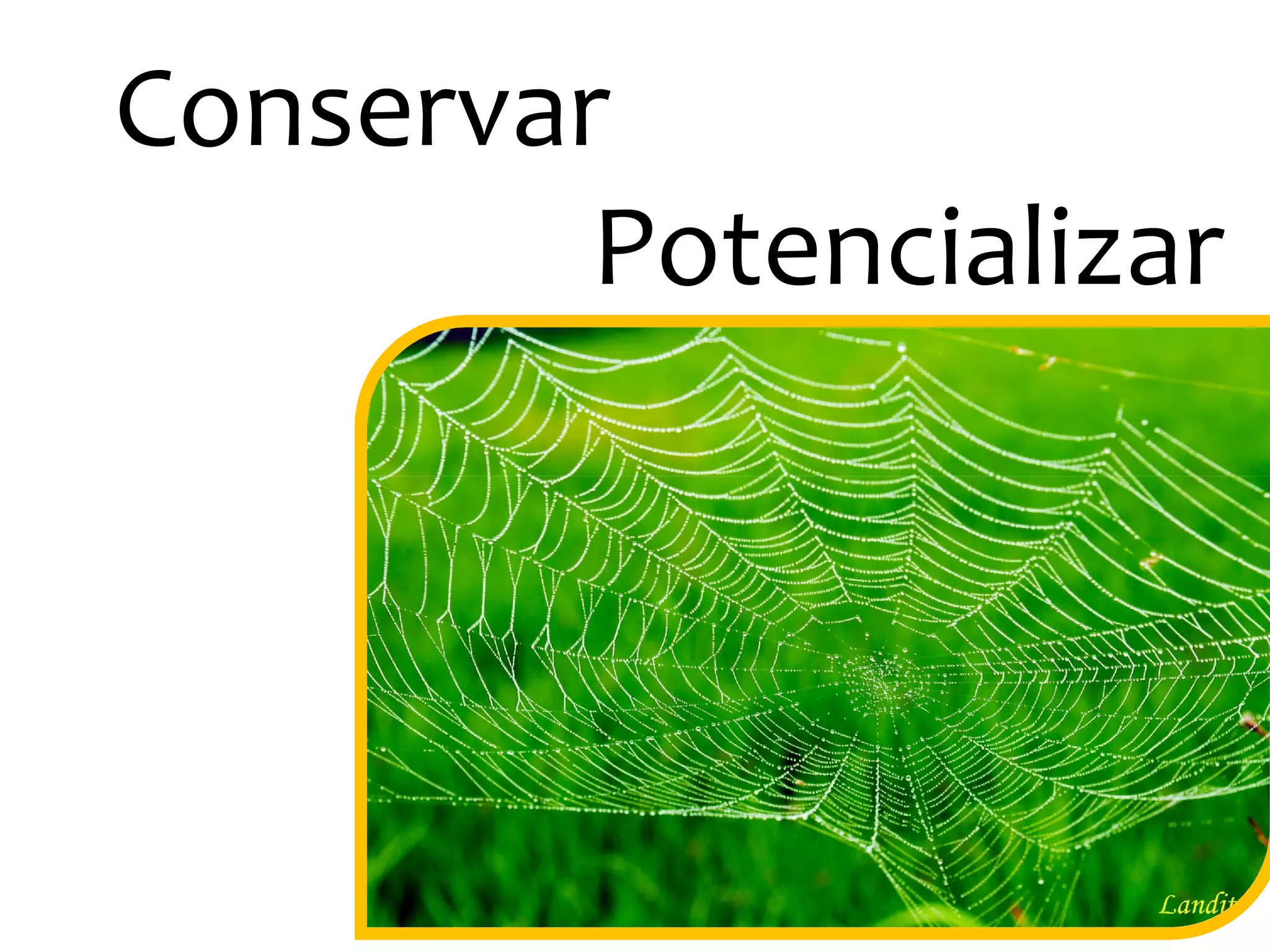 Conservar
Potencializar