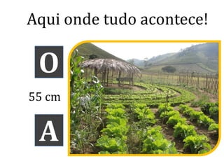 O
Aqui onde tudo acontece!
A
55 cm