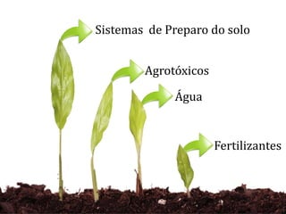 Sistemas de Preparo do solo
Agrotóxicos
Água
Fertilizantes