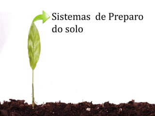 Sistemas de Preparo
do solo