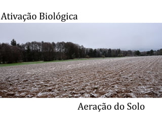 Ativação Biológica
Aeração do Solo