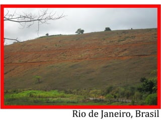 Rio de Janeiro, Brasil