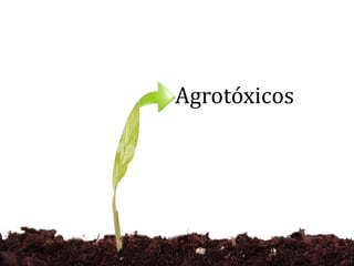 Agrotóxicos
