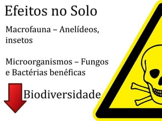 Efeitos no Solo
Macrofauna – Anelídeos,
insetos
Microorganismos – FungosMicroorganismos – Fungos
e Bactérias benéficas
Biodiversidade