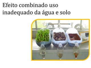Efeito combinado uso
inadequado da água e solo