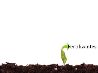 Fertilizantes