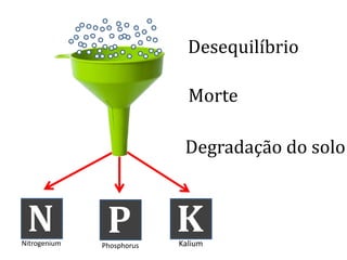 Desequilíbrio
Morte
N P KPhosphorus KaliumNitrogenium
Degradação do solo