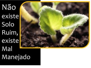 Não
existe
Solo
Ruim,Ruim,
existe
Mal
Manejado
