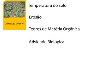 Cobertura do solo
Temperatura do solo
Erosão
Teores de Matéria Orgânica
Atividade Biológica