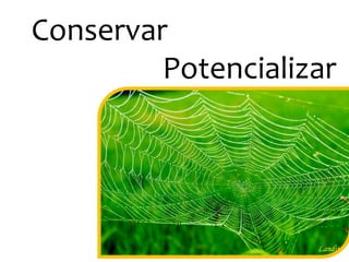 Conservar
Potencializar