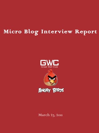 Micro Blog Interview Report ,[object Object]