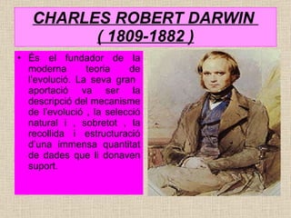 CHARLES ROBERT DARWIN  ( 1809-1882 ) És el fundador de la moderna teoria de l’evolució. La seva gran  aportació va ser la descripció del mecanisme de l’evolució , la selecció natural i , sobretot , la recollida i estructuració d’una immensa quantitat de dades que li donaven suport. 