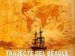 Trajecte del Beagle TRAJECTE DEL BEAGLE 