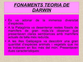FONAMENTS TEORIA DE DARWIN Es va adonar de la immensa diversitat d’espècies. A la Patagònia va desenterrar restes fòssils de mamífers de gran mida.Va observar que presentaven clares semblances amb mamífers actuals de talla més reduïda. A les illes Galàpagos va descobrir una gran quantitat d’espècies animals i vegetals que no es trobaven en lloc més del món. Presentaven dues característiques: 