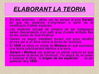 ELABORANT LA TEORIA Els fets anteriors  i altres van fer pensar al jove  Darwin  en que les espècies s’originaven a partir de la modificació d’altres espècies. Les espècies actuals de pinsans de les Galàpagos serien descendents d’un petit grup d’ocells arribats des de les costes de Sud-Amèrica. Darwin va seguir treballant durant vint anys recollint proves per a un llibre sobre la teoria de l’evolució.  El  1858  va rebre un article de  Wallace  en què exposava una teoria pràcticament idèntica a la seva. Darwin i Wallace  van publicar un article conjunt en què exposaven la teoria de l’evolució. Tot seguit es va posar a redactar el llibre  “ L’origen de les espècies  “ ,  va ser publicat l’any  1859 . 