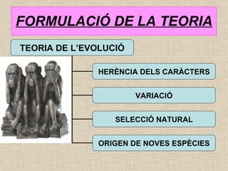 FORMULACIÓ DE LA TEORIA TEORIA DE L’EVOLUCIÓ HERÈNCIA DELS CARÀCTERS VARIACIÓ SELECCIÓ NATURAL ORIGEN DE NOVES ESPÈCIES 