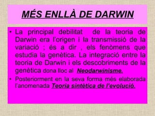 MÉS ENLLÀ DE DARWIN La principal debilitat  de la teoria de Darwin era l’origen i la transmissió de la variació ; és a dir , els fenòmens que estudia la genètica. La integració entre la teoria de Darwin i els descobriments   de la genètica  dona lloc al  Neodarwinisme.   Posteriorment en la seva forma més elaborada l’anomenada  Teoria sintètica de l’evolució. 