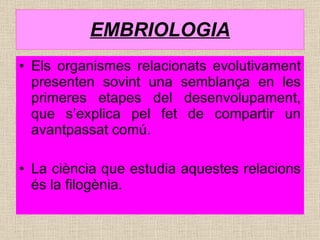 EMBRIOLOGIA Els organismes relacionats evolutivament presenten sovint una semblança en les primeres etapes del desenvolupament, que s’explica pel fet de compartir un avantpassat comú. La ciència que estudia aquestes relacions és la filogènia. 