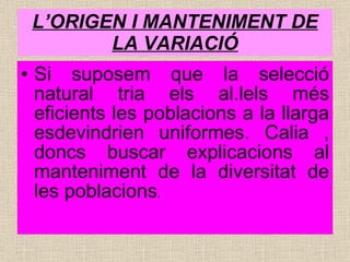 L’ORIGEN I MANTENIMENT DE LA VARIACIÓ Si suposem que la selecció natural tria els al.lels més eficients les poblacions a la llarga esdevindrien uniformes. Calia , doncs buscar explicacions al manteniment de la diversitat de les poblacions . 