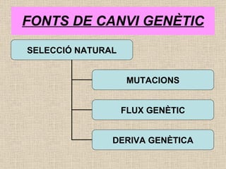 FONTS DE CANVI GENÈTIC SELECCIÓ NATURAL MUTACIONS FLUX GENÈTIC DERIVA GENÈTICA 