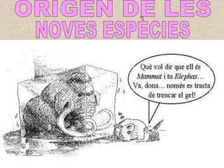 ORIGEN DE LES NOVES ESPÈCIES 
