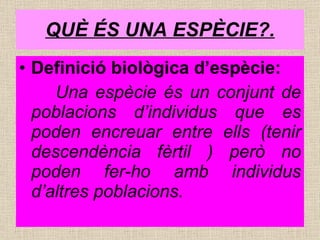 QUÈ ÉS UNA ESPÈCIE?. Definició biològica d’espècie: Una espècie és un conjunt de poblacions d’individus que es poden encreuar entre ells (tenir descendència fèrtil ) però no poden fer-ho amb individus d’altres poblacions. 