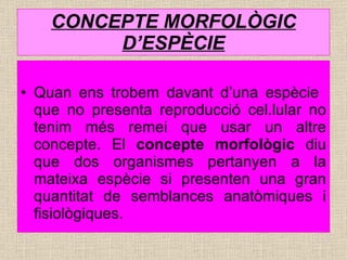 CONCEPTE MORFOLÒGIC D’ESPÈCIE Quan ens trobem davant d’una espècie  que no presenta reproducció cel.lular no tenim més remei que usar un altre concepte. El  concepte morfològic  diu que dos organismes pertanyen a la mateixa espècie si presenten una gran quantitat de semblances anatòmiques i fisiològiques. 