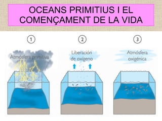 OCEANS PRIMITIUS I EL COMENÇAMENT DE LA VIDA 