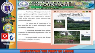 The advocacy of the program aims to provide
organic vegetables among families who participated in the
“Gulayan sa tahanan” whom they promote the essence of
organic farming and its effect of good nourishment than
commercialized planting.
The program will be implemented for the
entire school year with the aid of monitoring and proper
documentation of the output.
It also promotes camaraderie among members
of the family for the harvested vegetables will sustain the
needs of the family.
The program became possible with the help
and support of stakeholders and parents.
 