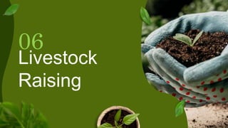 Livestock
Raising
06
 