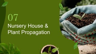 Nursery House &
Plant Propagation
07
 
