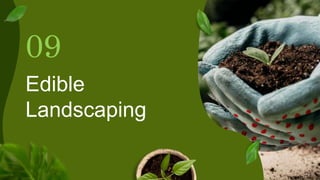 Edible
Landscaping
09
 