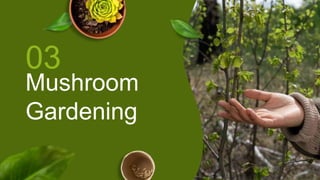 Mushroom
Gardening
03
 