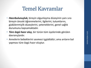 Temel Kavramlar
• Hazırbulunuşluk, bireyin olgunlaşma düzeyinin yanı sıra
bireyin önceki öğrenmelerini, ilgilerini, tutumlarını,
güdülenmişlik düzeylerini, yeteneklerini, genel sağlık
durumunu kapsamaktadır.
• Türe özgü hazır oluş, bir türün tüm üyelerinde görülen
davranışlardır.
• Annelerin bebeklerini sevmesi içgüdüdür; ama arıların bal
yapması türe özgü hazır oluştur.
SENEMBÜŞRAYILDIZ
 