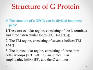 gproteincoupledreceptor-170520064151 2.pdf