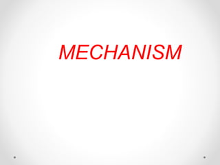 MECHANISM
 