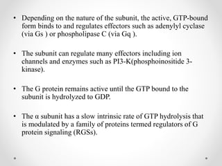 • Depending on the nature of the subunit, the active, GTP-bound
form binds to and regulates effectors such as adenylyl cyclase
(via Gs ) or phospholipase C (via Gq ).
• The subunit can regulate many effectors including ion
channels and enzymes such as PI3-K(phosphoinositide 3-
kinase).
• The G protein remains active until the GTP bound to the
subunit is hydrolyzed to GDP.
• The α subunit has a slow intrinsic rate of GTP hydrolysis that
is modulated by a family of proteins termed regulators of G
protein signaling (RGSs).
 