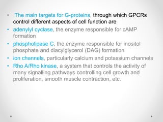 • The main targets for G-proteins, through which GPCRs
control different aspects of cell function are
• adenylyl cyclase, the enzyme responsible for cAMP
formation
• phospholipase C, the enzyme responsible for inositol
phosphate and diacylglycerol (DAG) formation
• ion channels, particularly calcium and potassium channels
• Rho A/Rho kinase, a system that controls the activity of
many signalling pathways controlling cell growth and
proliferation, smooth muscle contraction, etc.
 