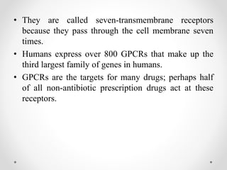 • They are called seven-transmembrane receptors
because they pass through the cell membrane seven
times.
• Humans express over 800 GPCRs that make up the
third largest family of genes in humans.
• GPCRs are the targets for many drugs; perhaps half
of all non-antibiotic prescription drugs act at these
receptors.
 