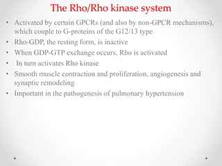 The Rho/Rho kinase system
• Activated by certain GPCRs (and also by non-GPCR mechanisms),
which couple to G-proteins of the G12/13 type
• Rho-GDP, the resting form, is inactive
• When GDP-GTP exchange occurs, Rho is activated
• In turn activates Rho kinase
• Smooth muscle contraction and proliferation, angiogenesis and
synaptic remodeling
• Important in the pathogenesis of pulmonary hypertension
 