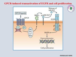 G Protein Coupled Receptor- An Introduction. | PPTX