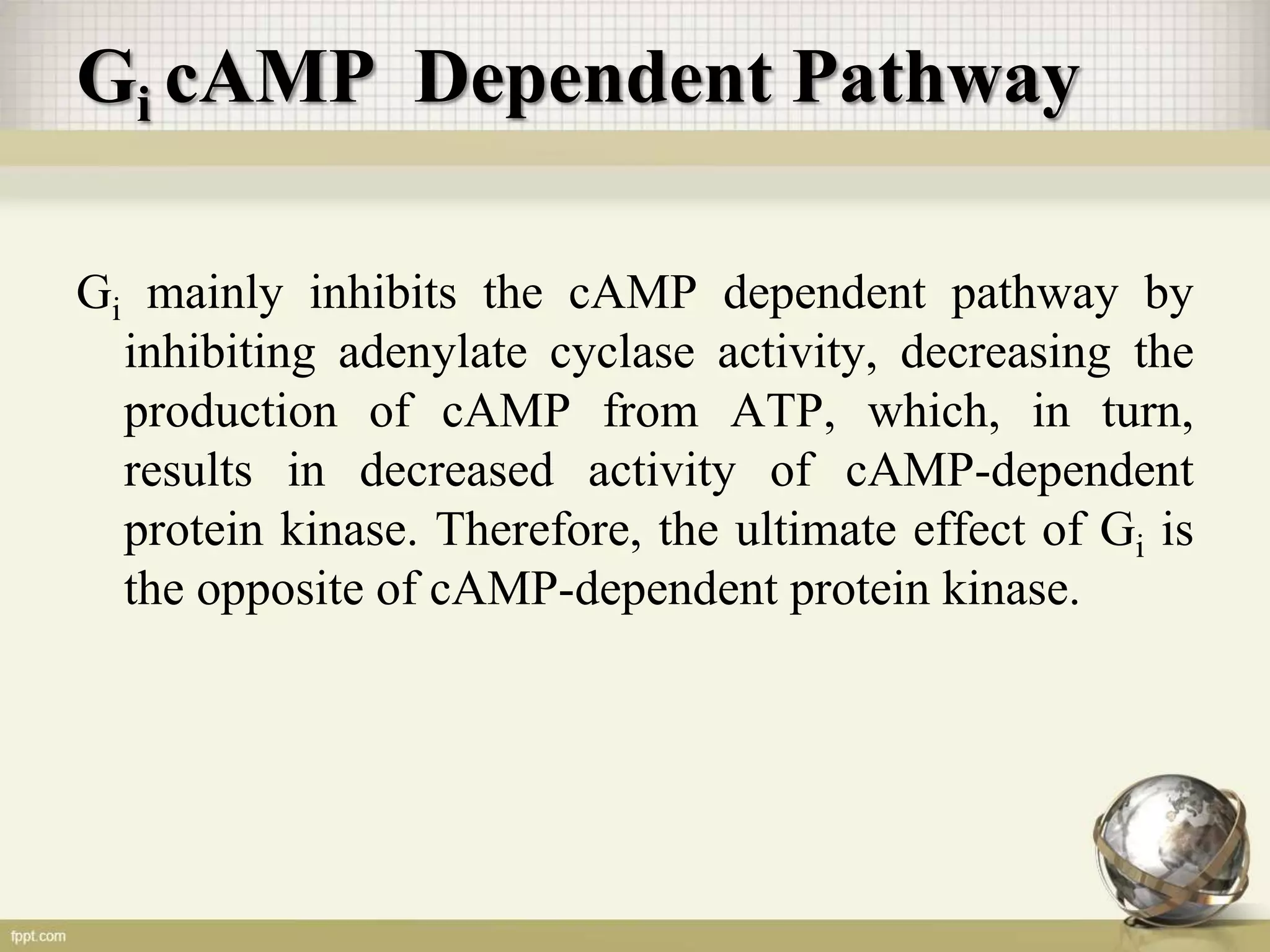 G protein coupled receptors and their Signaling Mechanism | PPTX