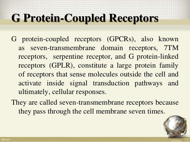G Protein Coupled Receptors And Their Signaling Mechanism