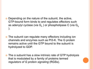 G protein coupled receptors   