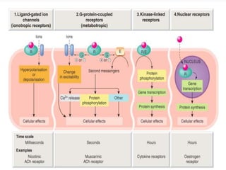G protein coupled receptor and pharmacotherapeutics | PPTX