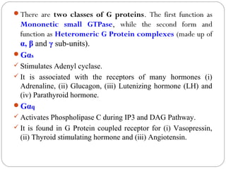 There are two classes of G proteins. The first function as
Mononetic small GTPase, while the second form and
function as Heteromeric G Protein complexes (made up of
α, β and γ sub-units).
Gαs
 Stimulates Adenyl cyclase.
 It is associated with the receptors of many hormones (i)
Adrenaline, (ii) Glucagon, (iii) Lutenizing hormone (LH) and
(iv) Parathyroid hormone.
Gαq
 Activates Phospholipase C during IP3 and DAG Pathway.
 It is found in G Protein coupled receptor for (i) Vasopressin,
(ii) Thyroid stimulating hormone and (iii) Angiotensin.
 