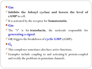 Gαi
Inhibits the Adenyl cyclase and lowers the level of
cAMP in cell.
It is activated by the receptor for Somatostatin.
Gαt
The "t" is for transducin, the molecule responsible for
generating a signal.
Gαt triggers the breakdown of cyclic GMP (cGMP).
Gβγ
This complexes sometimes also have active functions.
Examples include coupling to and activating G protein-coupled
and rectify the problems in potassium channels.
 
 